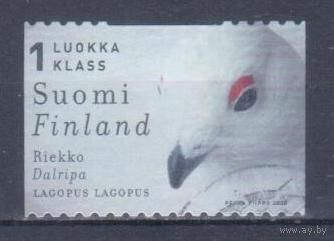 [1310] Финляндия 2000. Фауна.Птицы.Белая куропатка. Гашеная марка.