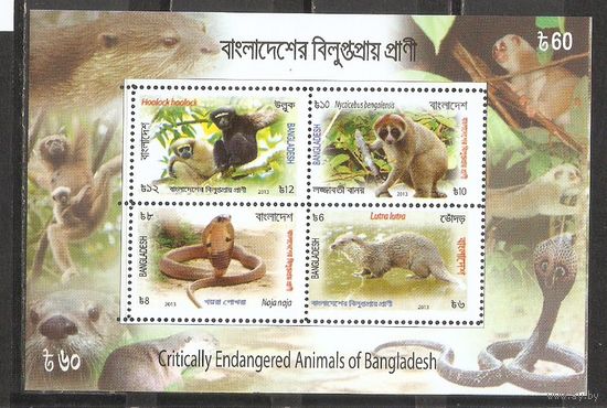 ФФ3 Бангладеш 2013 Фауна