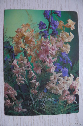 Костенко П., 8 Марта; 1987, подписана.