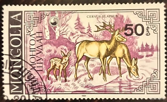 Монголия 1984. Олень. Cervus Elaphus. Марка из серии