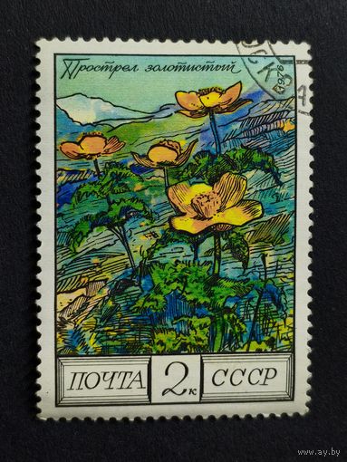 1976 СССР. Цветы Кавказа. Прострел золотистый