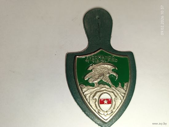 Знак альпийских горных стрелков