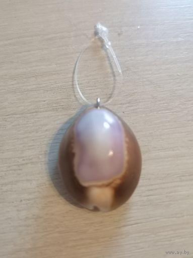 Подвеска. Раковина- каури(ципрея).