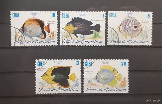 Распродажа с 1 рубля! Фауна. Куба. 1985 год. Рыбы (5 марок из серии)