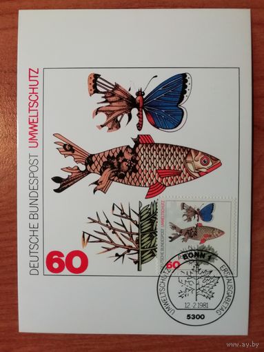 ФРГ 1981 Карт максимум марки "'Защита окружающей среды" Mi: 1087