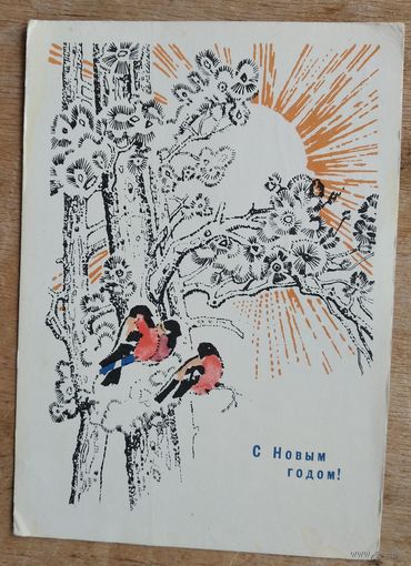 Самородов Н. С Новым годом! 1967 г. ПК. Прошла почту.