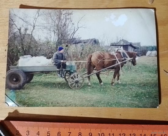 Фото сельская жизнь