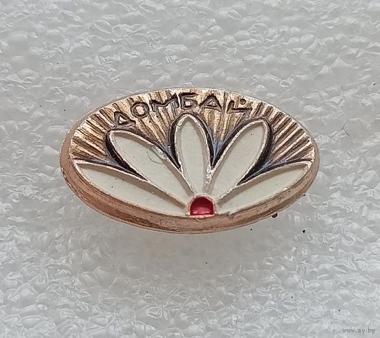 Туризм. Домбай. Эдельвейс. #-VI-06