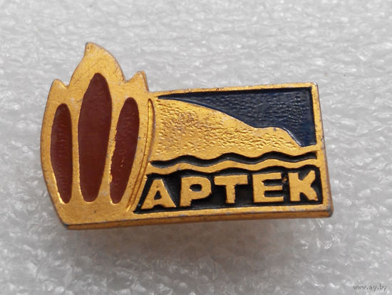 Значок. Артек. Костерок #0027