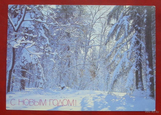 С новым годом! Чистая. 1987 года. Ерина. *189.