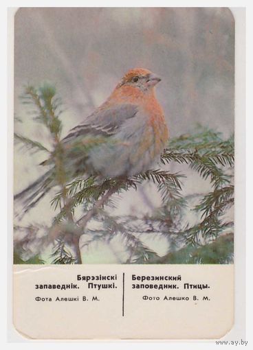 Календарик 1988 Птицы