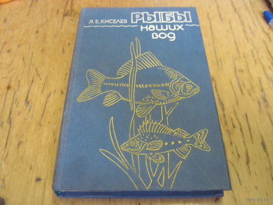 Я.Е. Киселев. Рыбы наших вод, 1984 г.