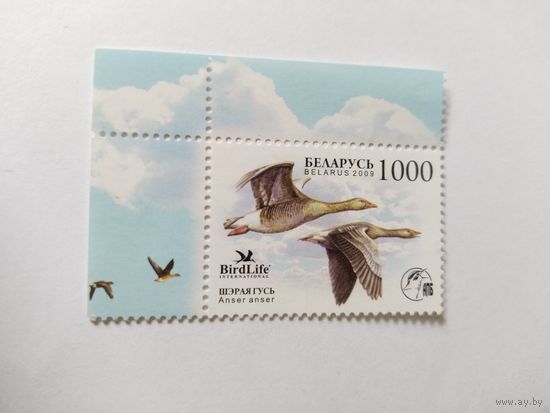 Беларусь 2009 птица года