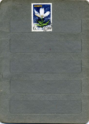 СССР, 1977, ЦВЕТЫ гор сибири , 1м