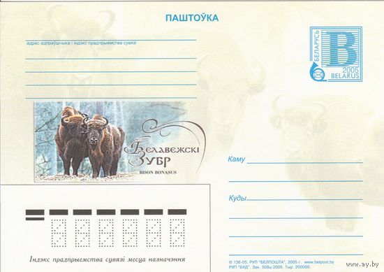 Беларусь 2005 ПК Беловежский зубр (к5)