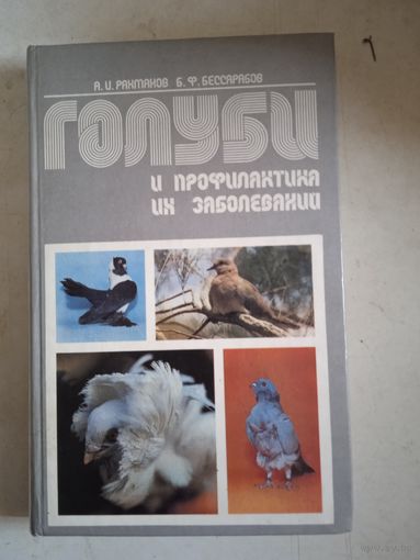 Голуби и профилактика их заболеваний