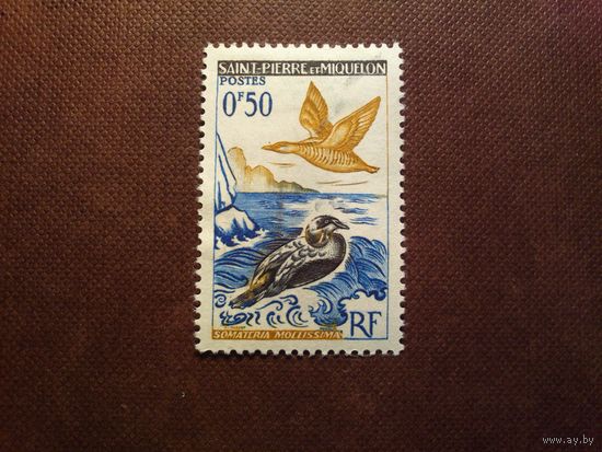Сен-Пьер и Микелон 1963 г.Гага обыкновенная ./43а/
