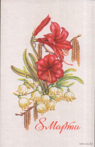 Чистая открытка 1970г. "8 Марта. Лилии" худ. А. Соколова
