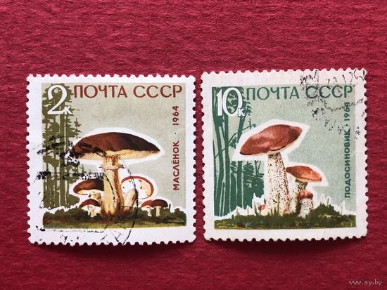 СССР 1964 год. Грибы
