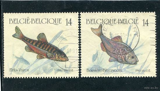 Бельгия. Рыбы