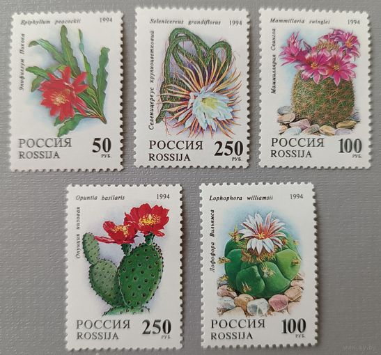 Кактусы. Россия, 1994