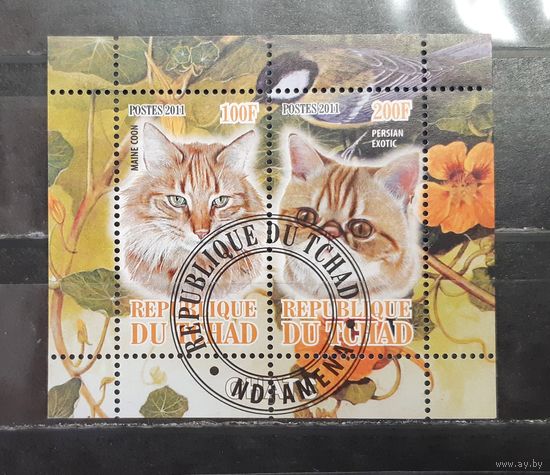 Чад. 2011 год. Фауна. Кошки (блок) (1234)