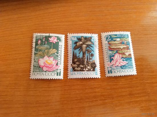 1966 СССР гашеная полная серия цветы флора MNH**(сф-10)