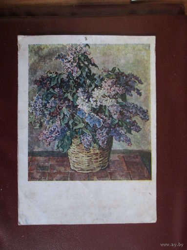 Почтовая карточка.1948г.