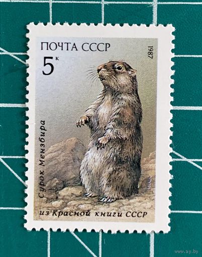 СССР 1987 "Сурок из серии Млекопитающие" 373