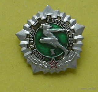 ГТО. 1 разряд. К-10.