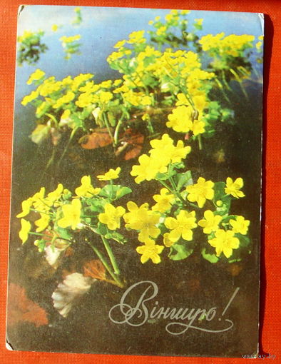 Вiншую! Подписанная. 1982 года. Иванов. 1294.