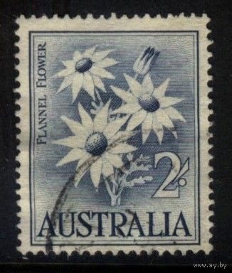 Австралия - 1959 [Mi. 299] Гашеная (AU05)