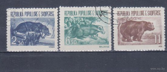 [152] Албания 1961. Фауна.Дикие животные. Гашеная серия. Кат.гаш.11 е.