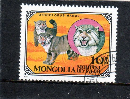 Монголия. Ми-1245. Кот Палласа (Otocolobus manul) Серия: Дикие кошки.1979.