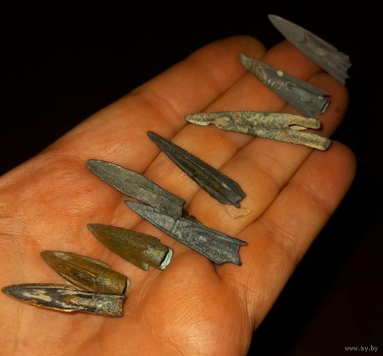 В коллекцию.