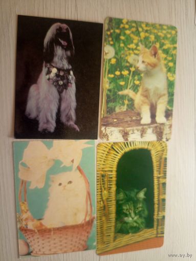 Календарики одним лотом