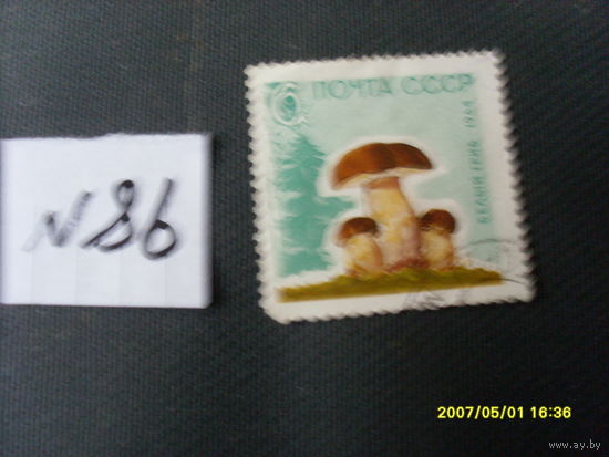ПОЧТОВАЯ  МАРКА СССР " БЕЛЫЙ ГРИБ " 1964 Г