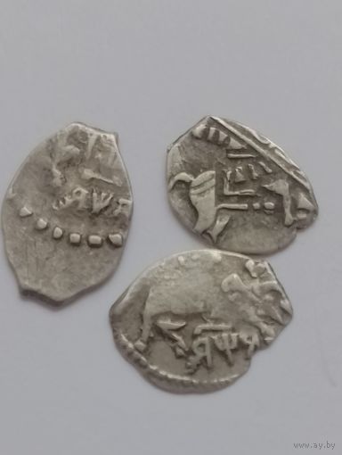 Копейки Пётр I  1701 г, 1703 г, 1708 г.