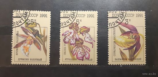 СССР. 1991 год. Флора. Цветы. Орхидеи (234)