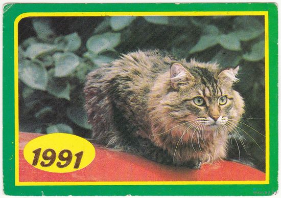 Календарик 1991 (171)