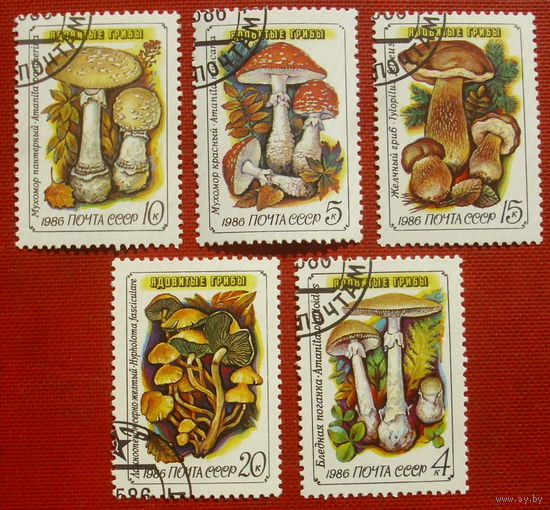 СССР. Ядовитые грибы. ( 5 марок ) 1986 года. 3-9.