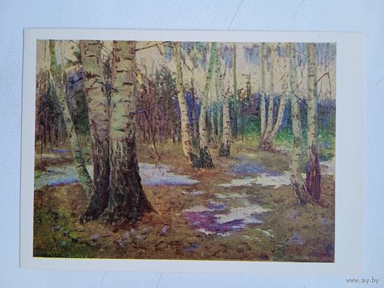 1955. Азгур. Березки. Весна