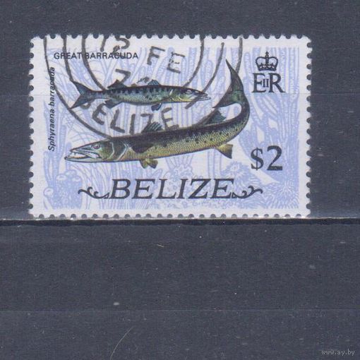 [2087] Белиз 1974. Фауна.Рыбы.2 $. Гашеная марка. Кат.гаш.3,6 е.