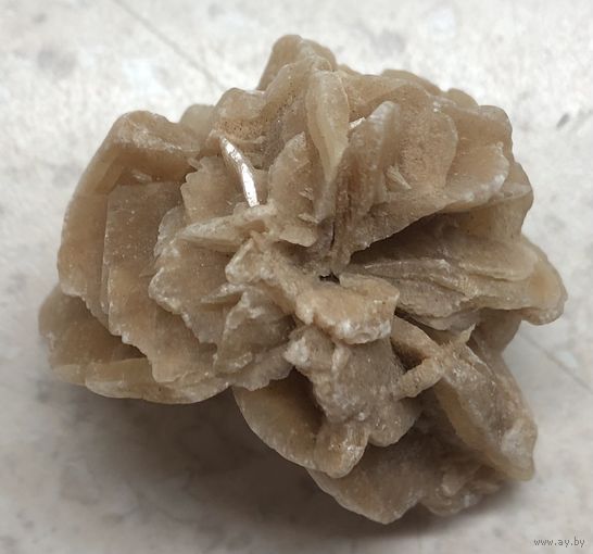 Минерал / кристалл Роза пустыни / Роза песков, Сев. Африка