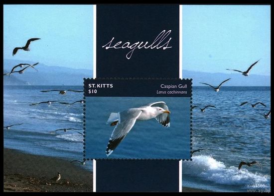 2014 Сент-Китс 1464/B149 Птицы - Чайки 9,00 евро