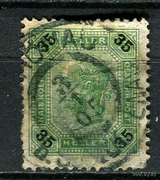 Австро-Венгрия - 1901/1903 - Император Франц Иосиф - 35H - [Mi.93] - 1 марка. Гашеная.  (Лот 16FN)-T25P23