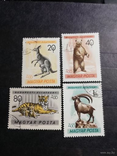 Венгрия, 1961, фауна, животные Будапештский зоопарк