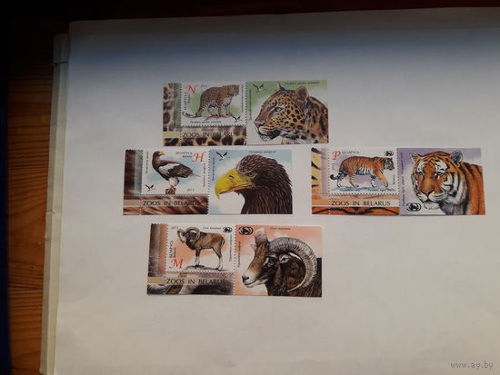 Марки Беларусь 2013 Звери