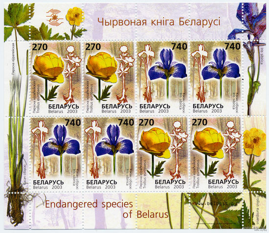 Редкие цветы. Красная книга. 2003. Беларусь. Малый лист. Чистый
