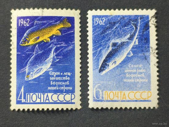 1962 СССР. Рыбы. Полная серия